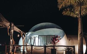 Green Land Bubble Glamping By Mint